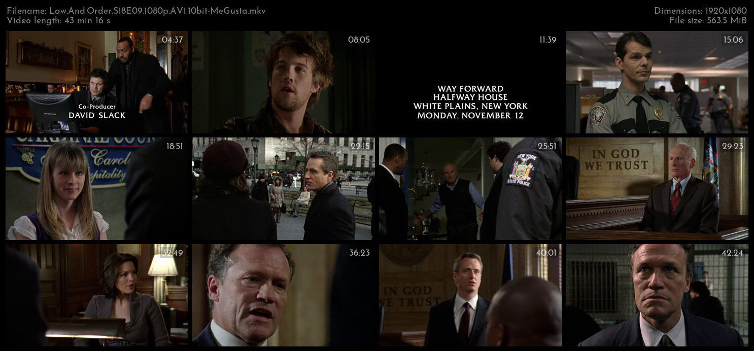 Law And Order S18E09 1080p AV1 10bit MeGusta TGx