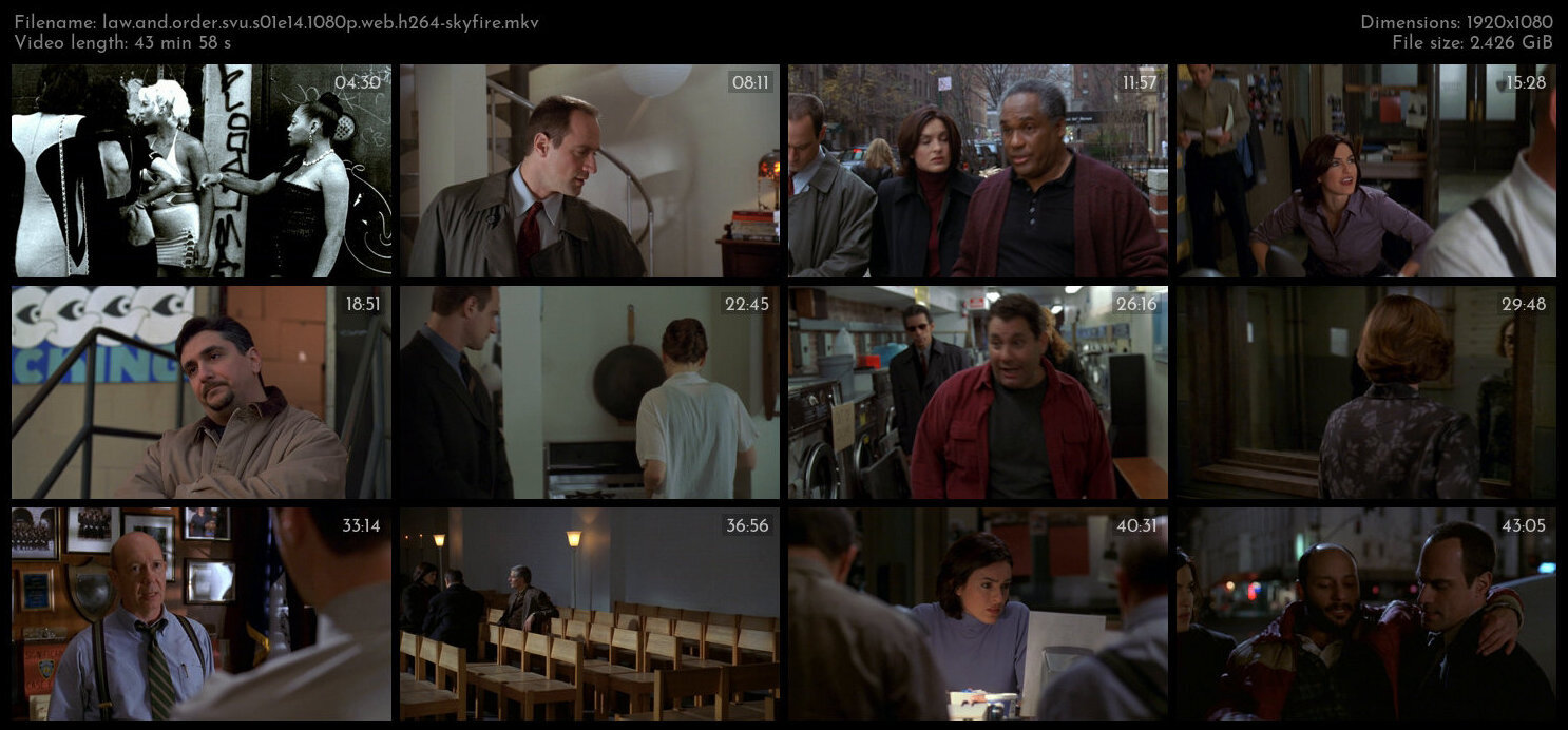 Law And Order SVU S01E14 1080p WEB H264 SKYFiRE TGx