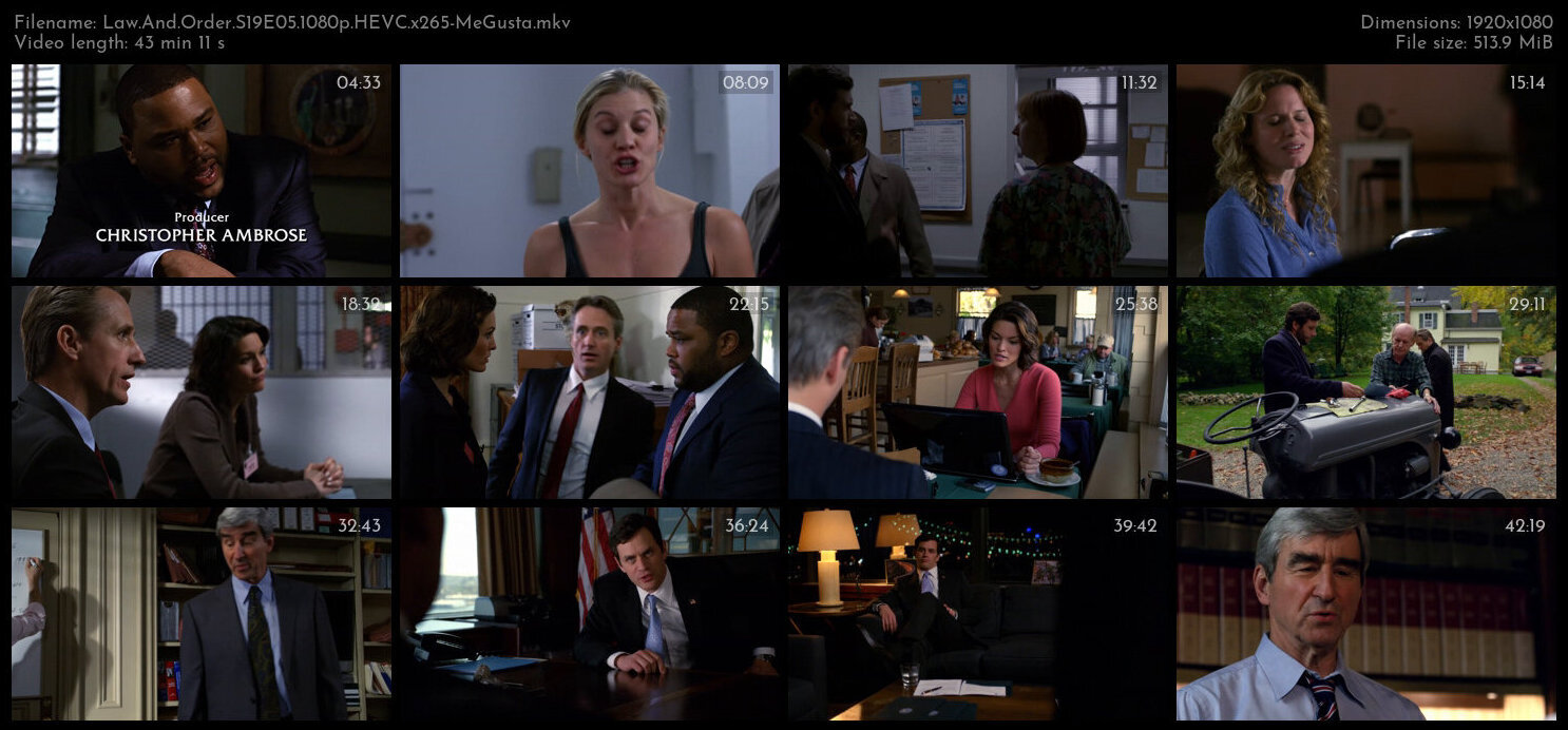 Law And Order S19E05 1080p HEVC x265 MeGusta TGx