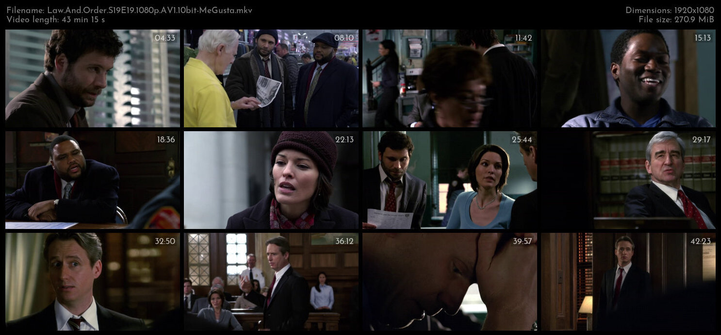 Law And Order S19E19 1080p AV1 10bit MeGusta TGx