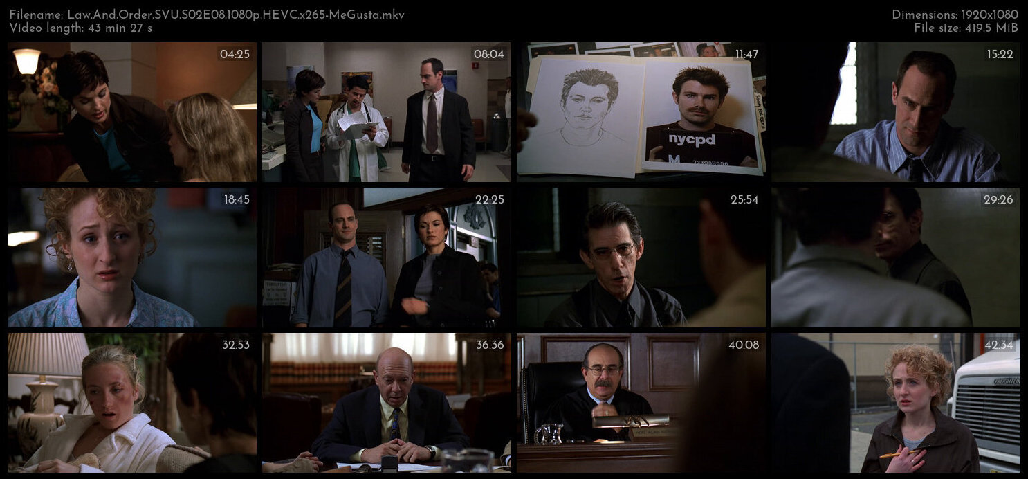 Law And Order SVU S02E08 1080p HEVC x265 MeGusta TGx