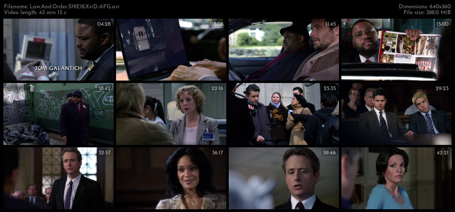 Law And Order S19E18 XviD AFG TGx