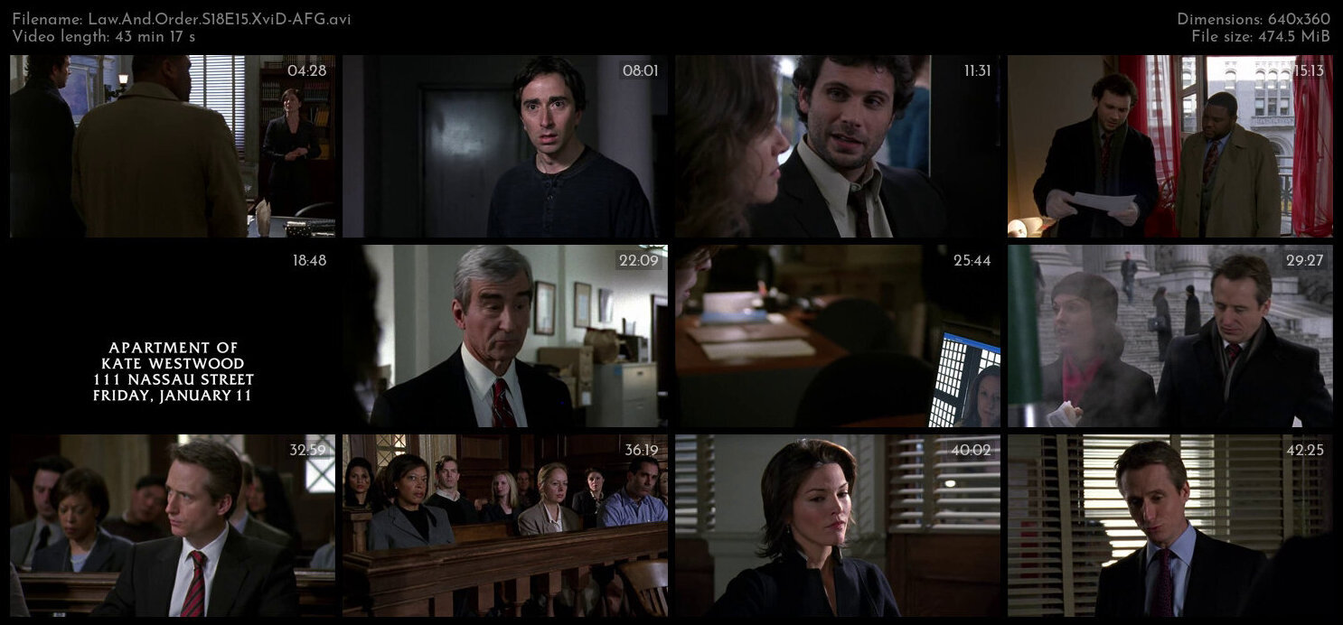 Law And Order S18E15 XviD AFG TGx