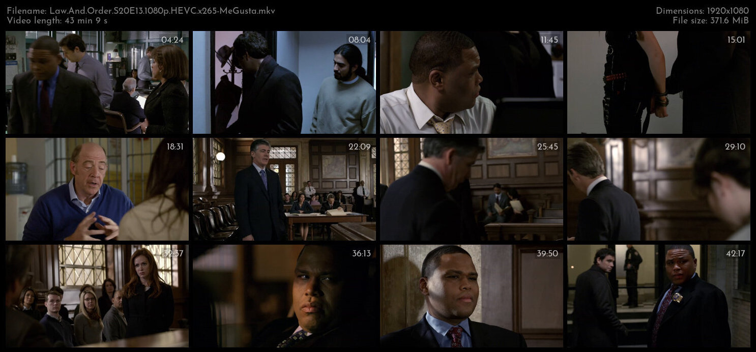 Law And Order S20E13 1080p HEVC x265 MeGusta TGx