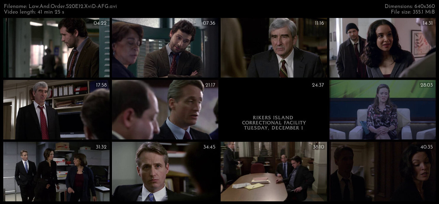 Law And Order S20E12 XviD AFG TGx