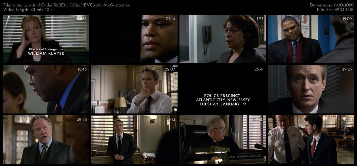 Law And Order S20E15 1080p HEVC x265 MeGusta TGx