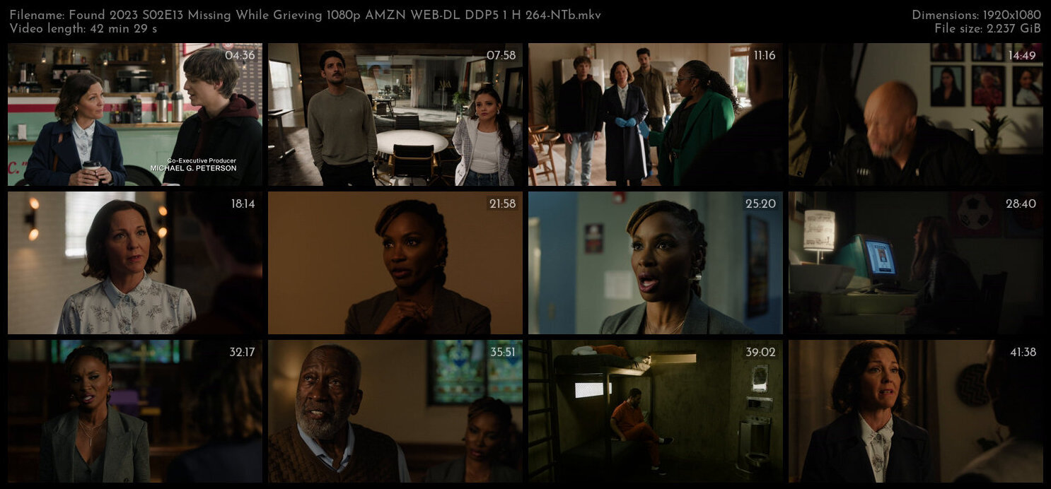 Found 2023 S02E13 Missing While Grieving 1080p AMZN WEB DL DDP5 1 H 264 NTb TGx