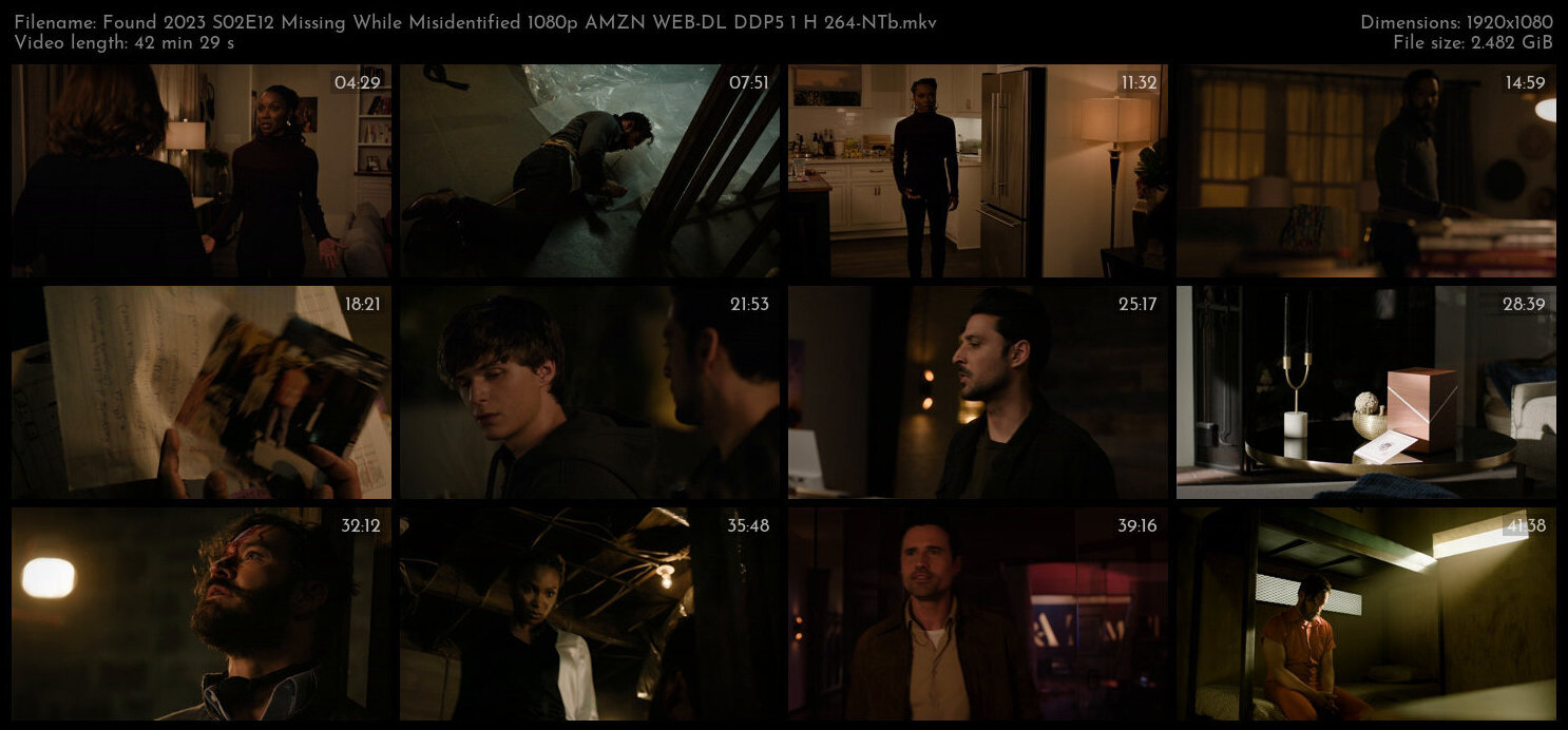 Found 2023 S02E12 Missing While Misidentified 1080p AMZN WEB DL DDP5 1 H 264 NTb TGx