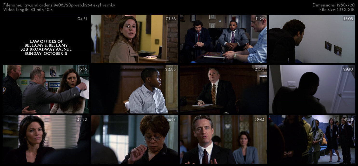 Law And Order S19E08 720p WEB H264 SKYFiRE TGx