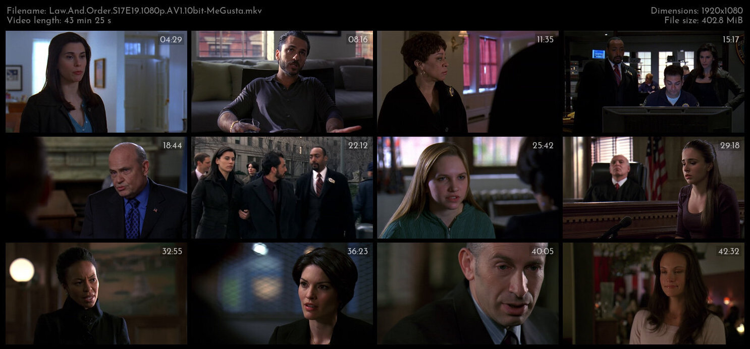 Law And Order S17E19 1080p AV1 10bit MeGusta TGx