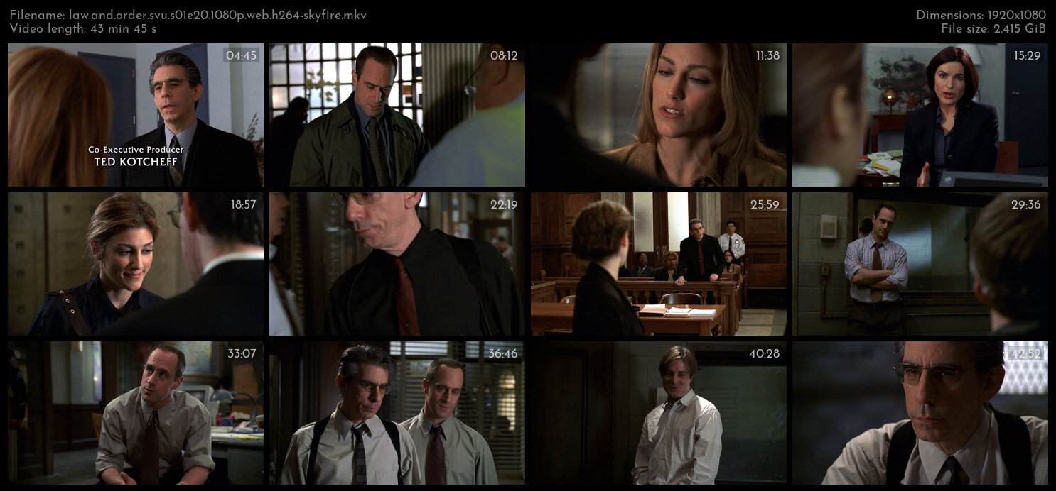 Law And Order SVU S01E20 1080p WEB H264 SKYFiRE TGx