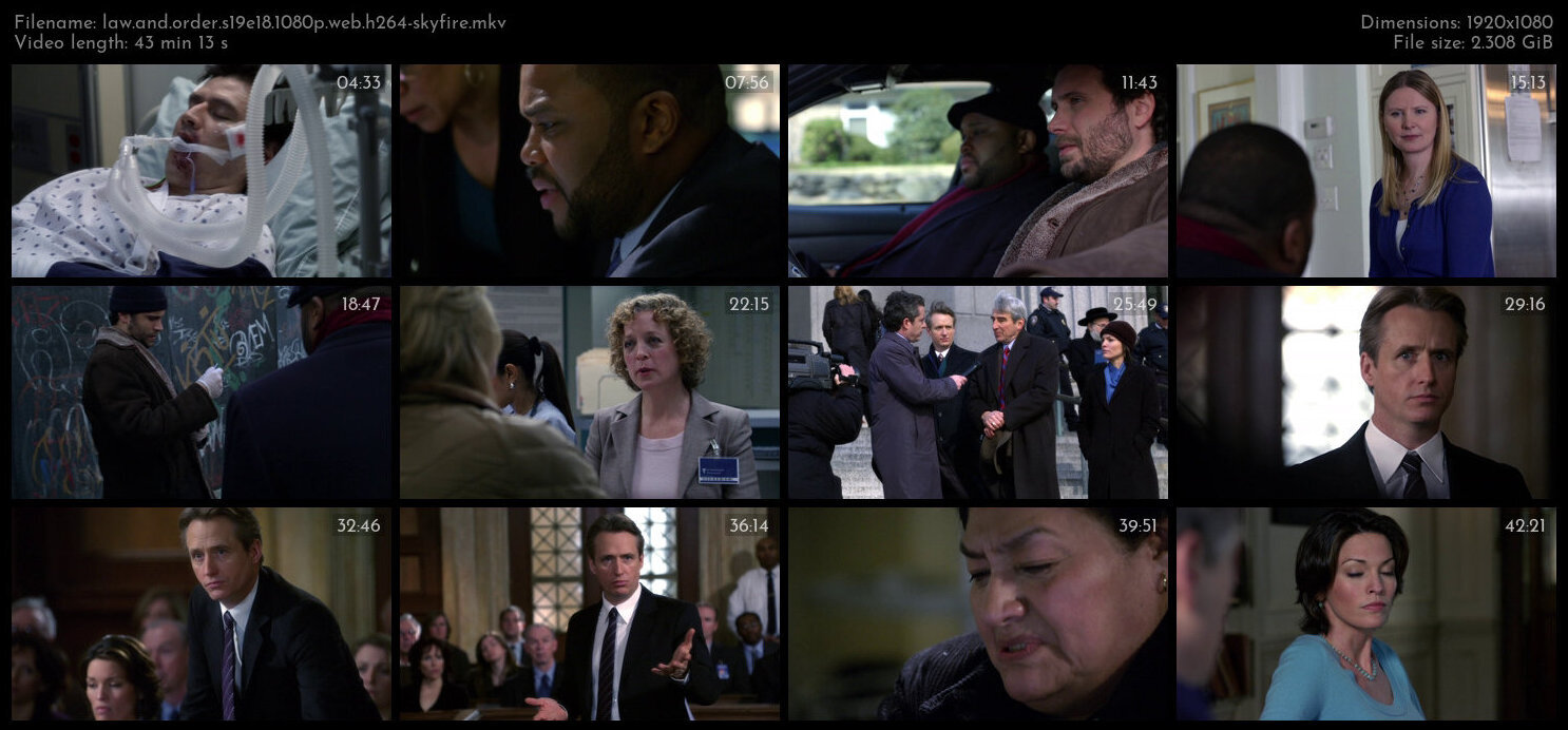 Law And Order S19E18 1080p WEB H264 SKYFiRE TGx