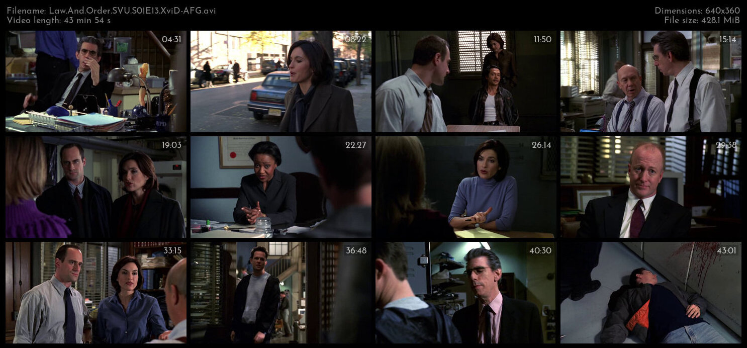 Law And Order SVU S01E13 XviD AFG TGx