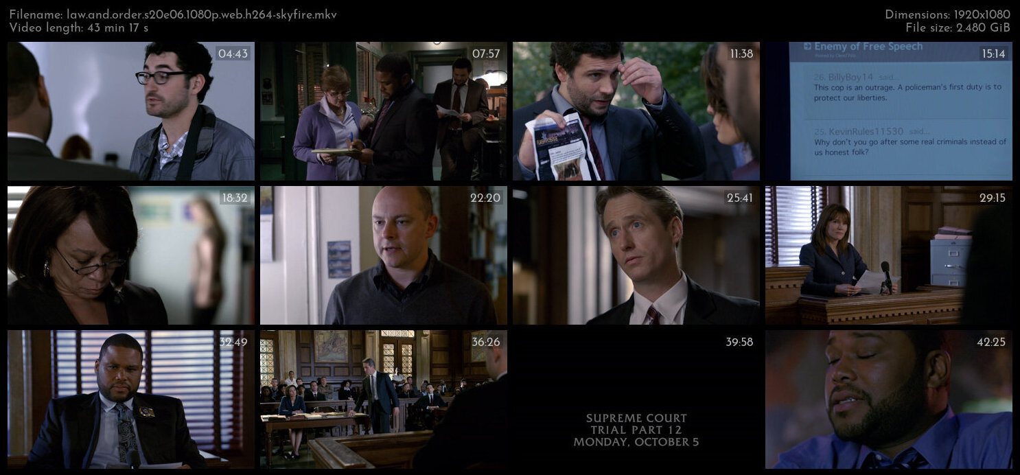 Law And Order S20E06 1080p WEB H264 SKYFiRE TGx