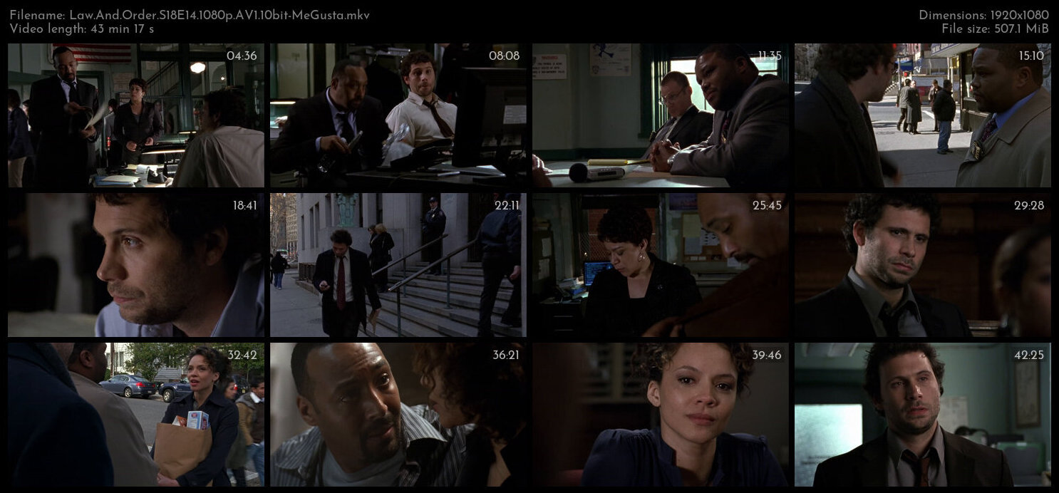 Law And Order S18E14 1080p AV1 10bit MeGusta TGx