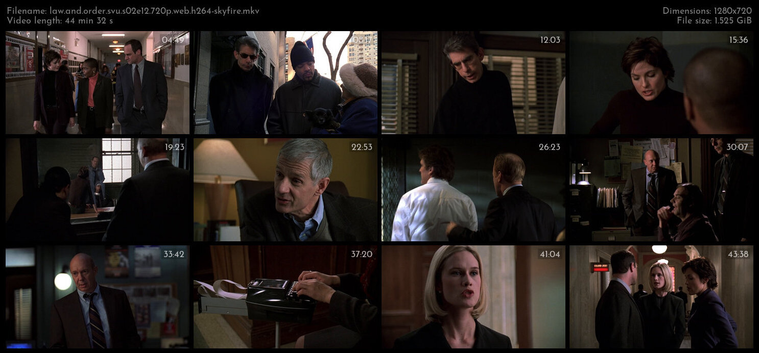 Law And Order SVU S02E12 720p WEB H264 SKYFiRE TGx