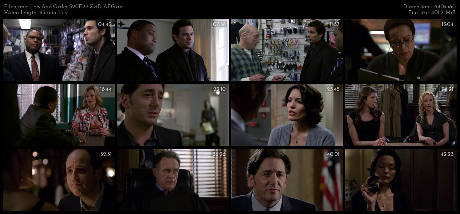 Law And Order S20E22 XviD AFG TGx