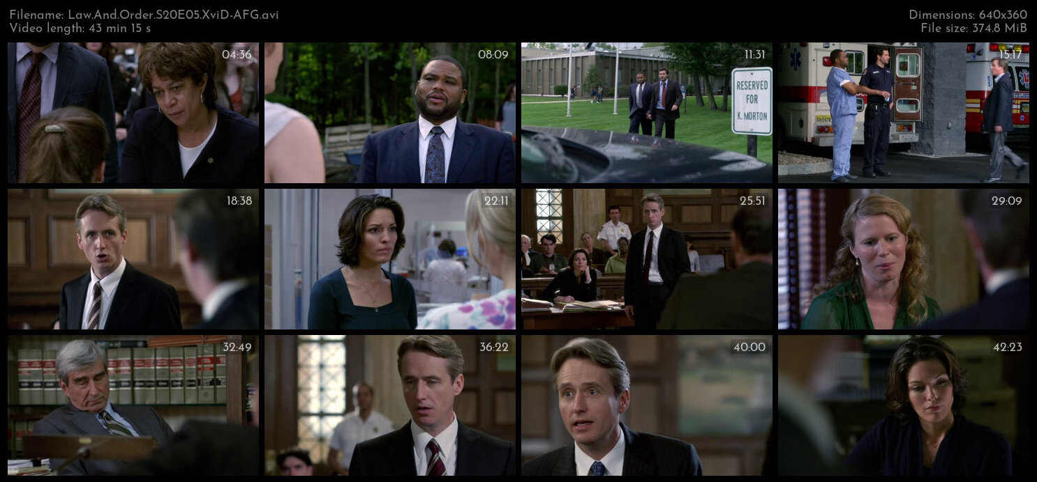 Law And Order S20E05 XviD AFG TGx