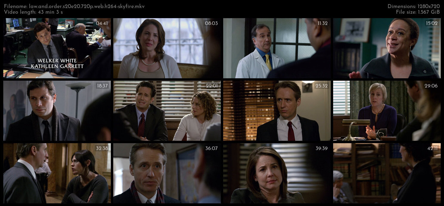 Law And Order S20E20 720p WEB H264 SKYFiRE TGx