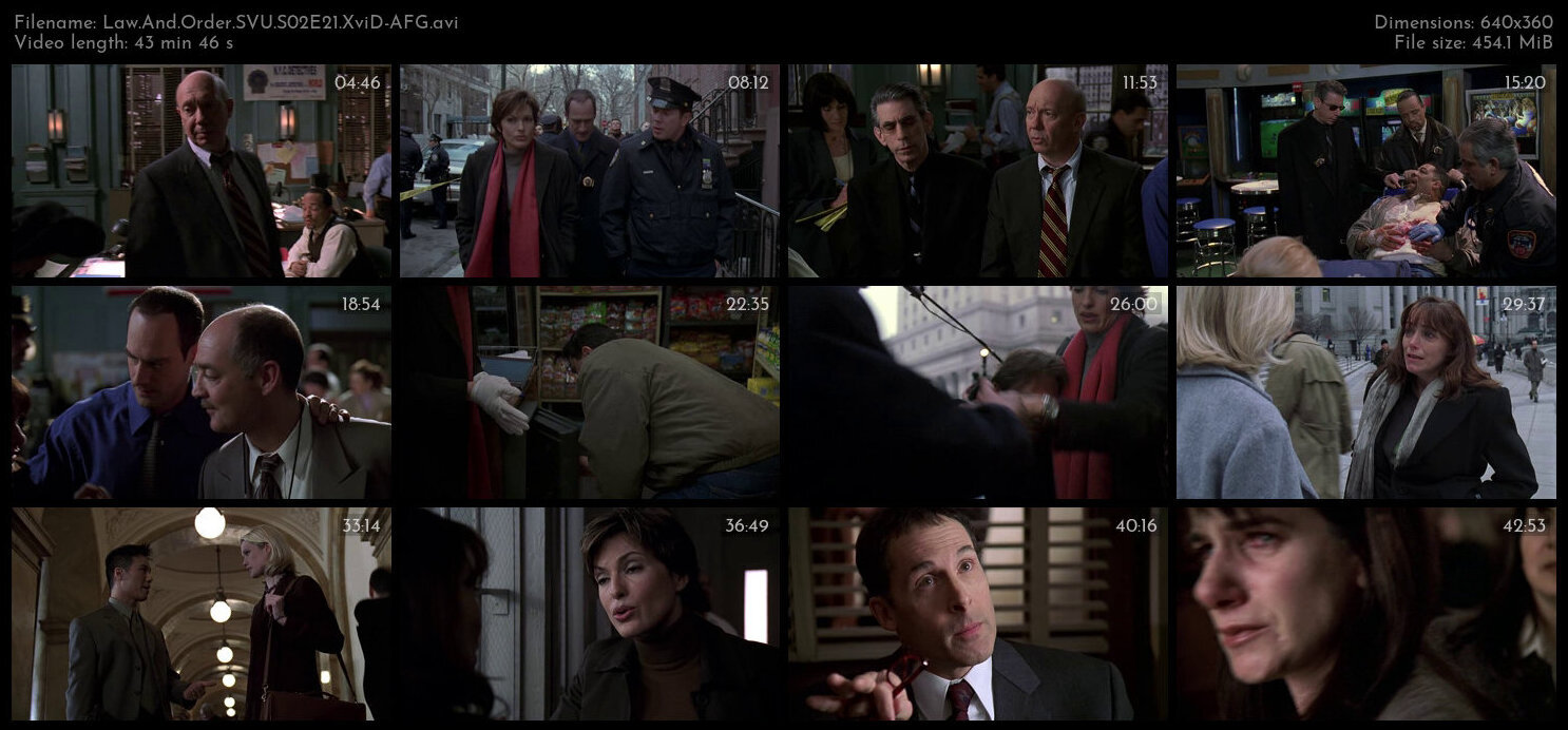 Law And Order SVU S02E21 XviD AFG TGx