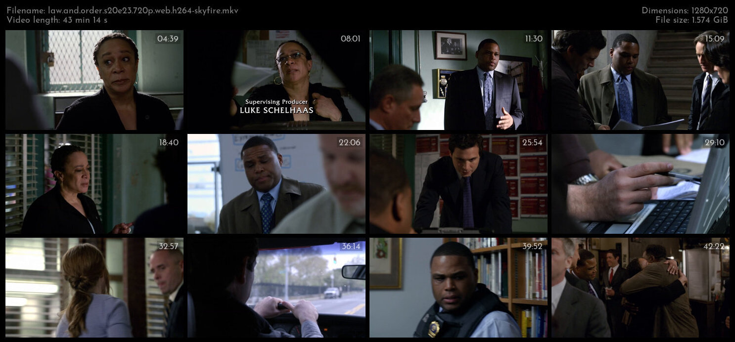 Law And Order S20E23 720p WEB H264 SKYFiRE TGx