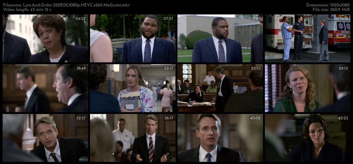 Law And Order S20E05 1080p HEVC x265 MeGusta TGx