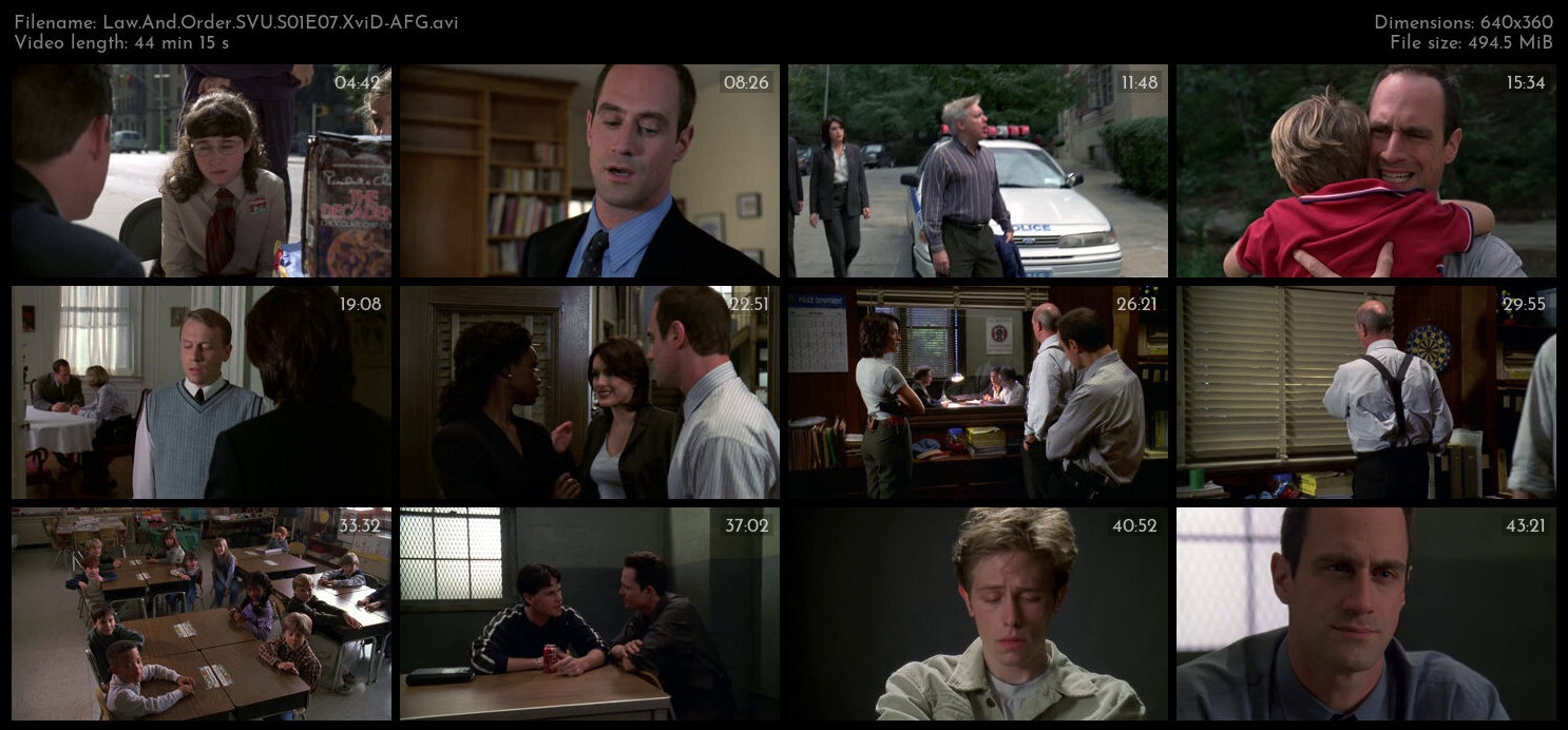 Law And Order SVU S01E07 XviD AFG TGx