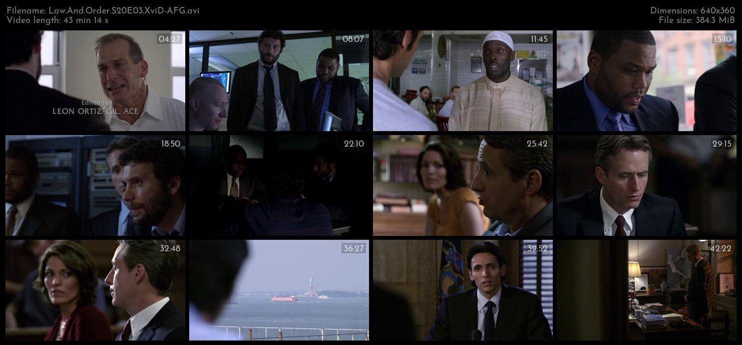 Law And Order S20E03 XviD AFG TGx