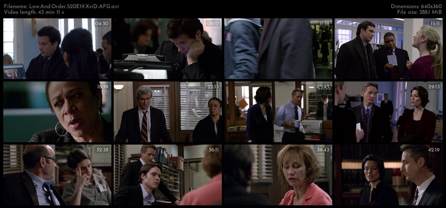 Law And Order S20E19 XviD AFG TGx