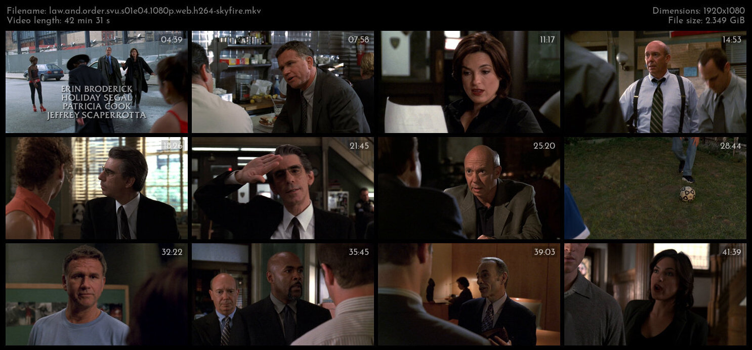 Law And Order SVU S01E04 1080p WEB H264 SKYFiRE TGx