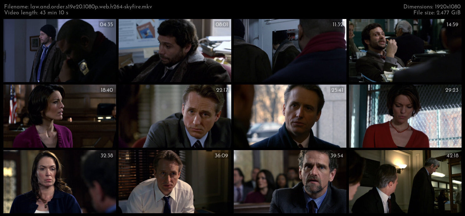 Law And Order S19E20 1080p WEB H264 SKYFiRE TGx