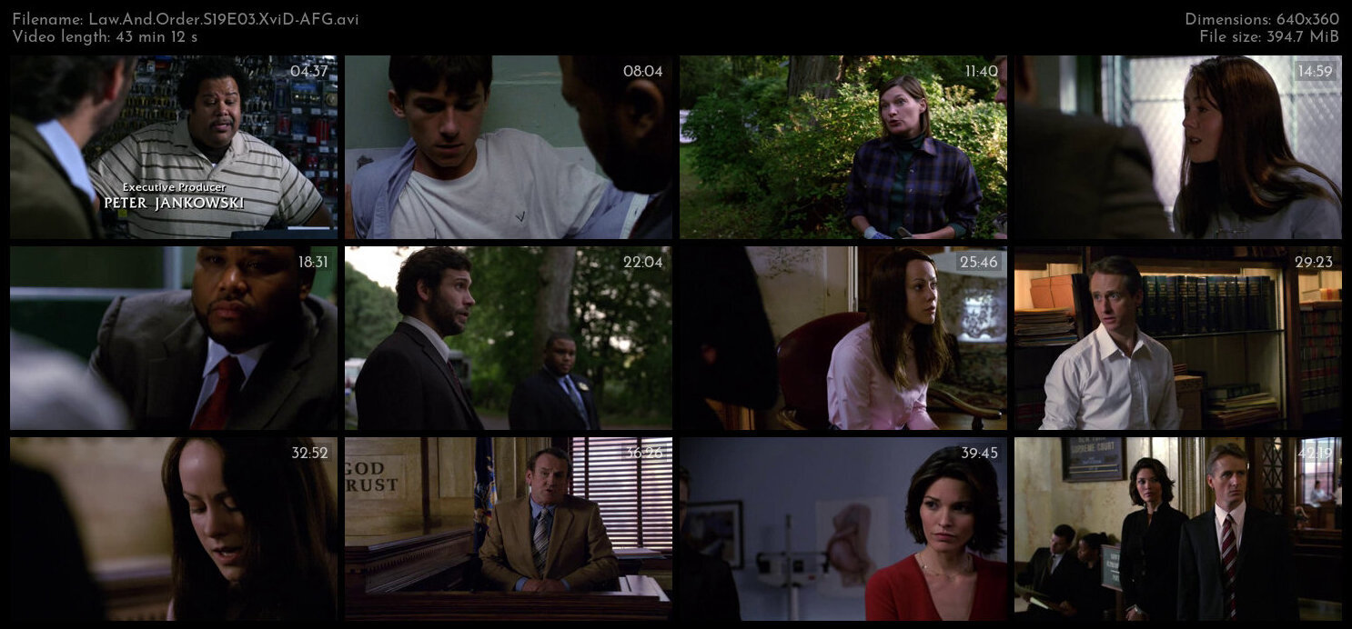 Law And Order S19E03 XviD AFG TGx