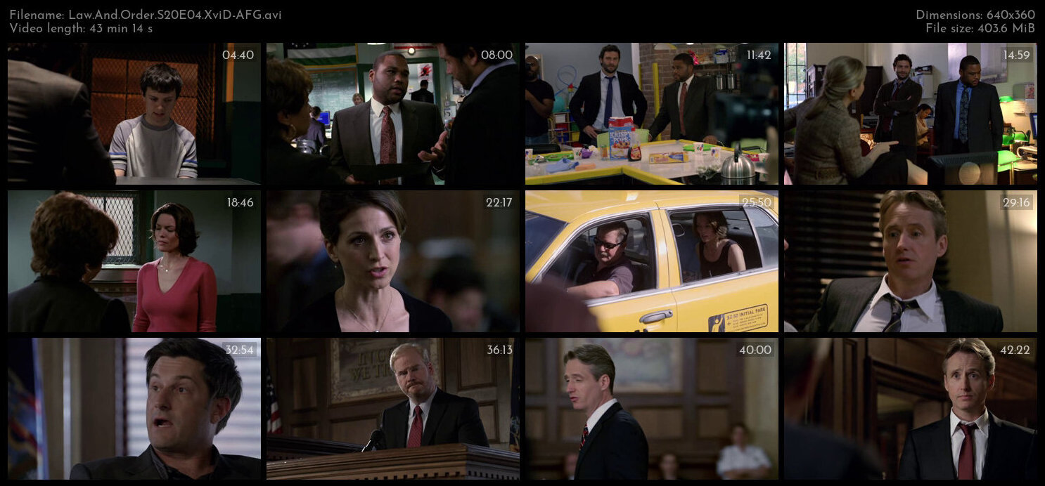 Law And Order S20E04 XviD AFG TGx