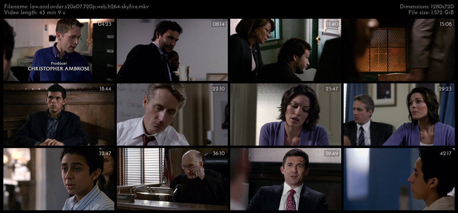 Law And Order S20E07 720p WEB H264 SKYFiRE TGx