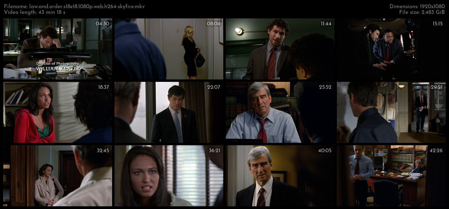 Law And Order S18E18 1080p WEB H264 SKYFiRE TGx