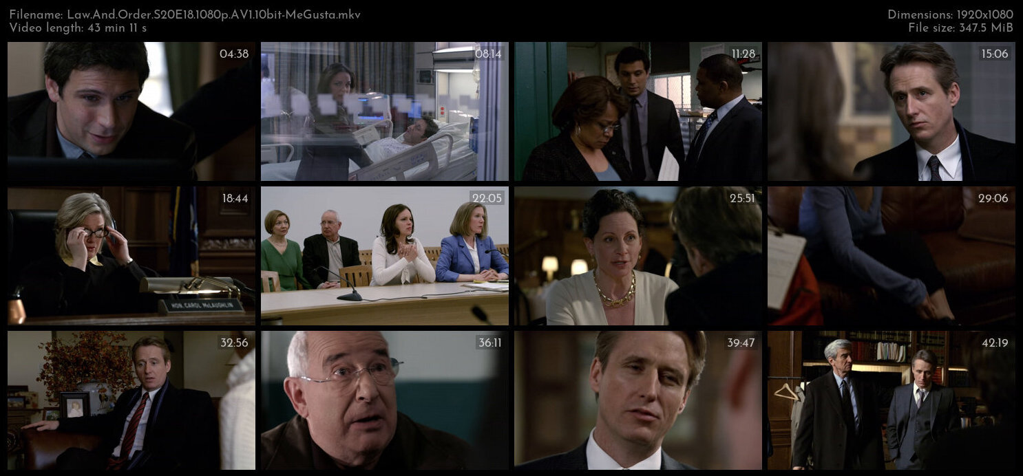 Law And Order S20E18 1080p AV1 10bit MeGusta TGx