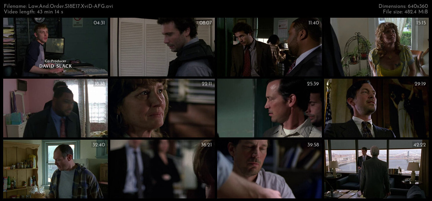 Law And Order S18E17 XviD AFG TGx