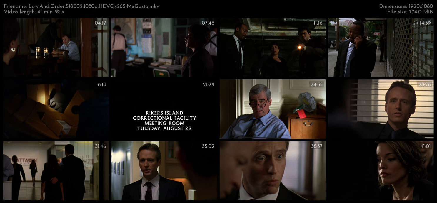 Law And Order S18E02 1080p HEVC x265 MeGusta TGx