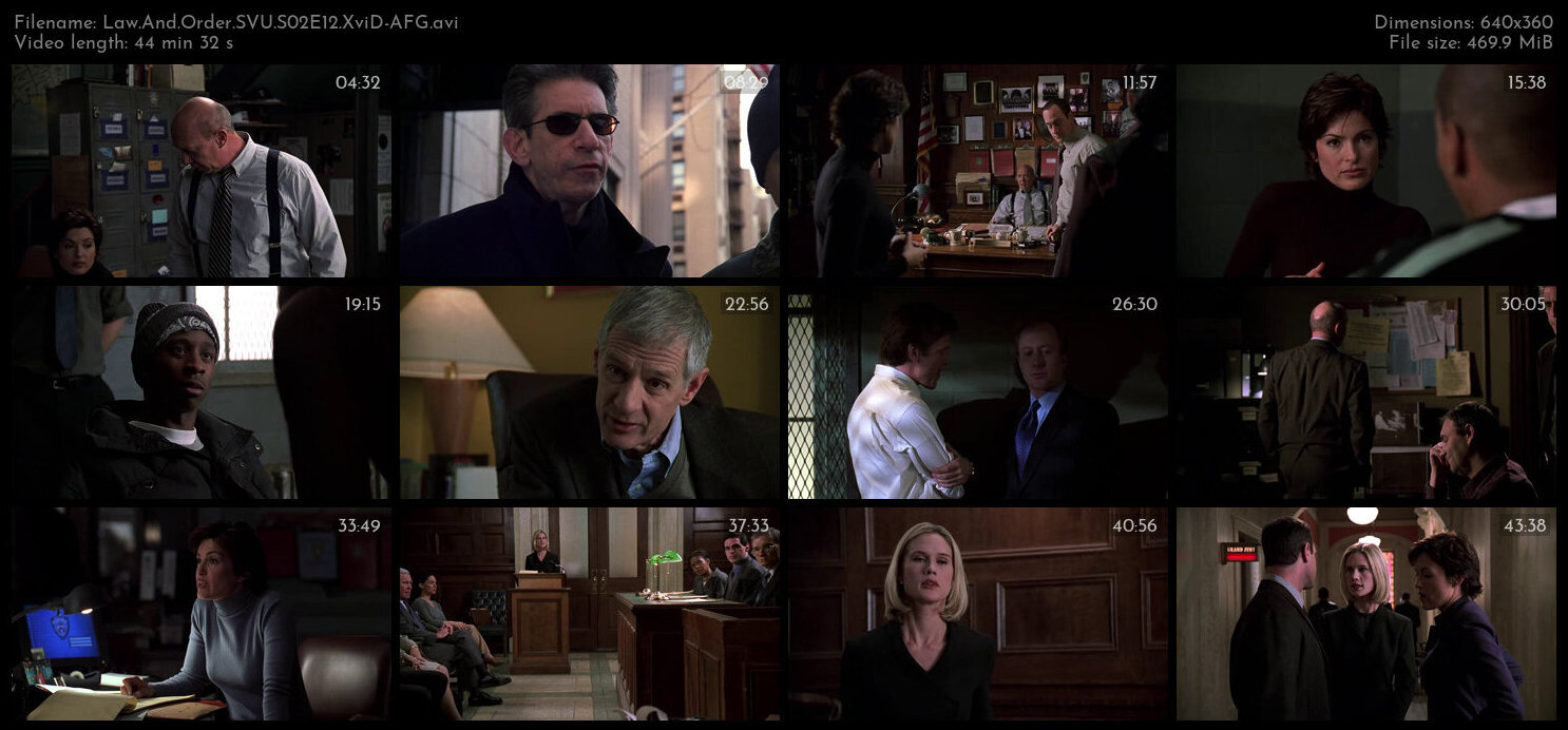 Law And Order SVU S02E12 XviD AFG TGx