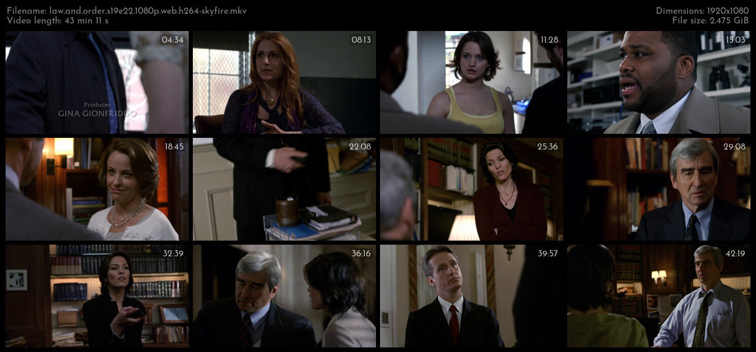 Law And Order S19E22 1080p WEB H264 SKYFiRE TGx