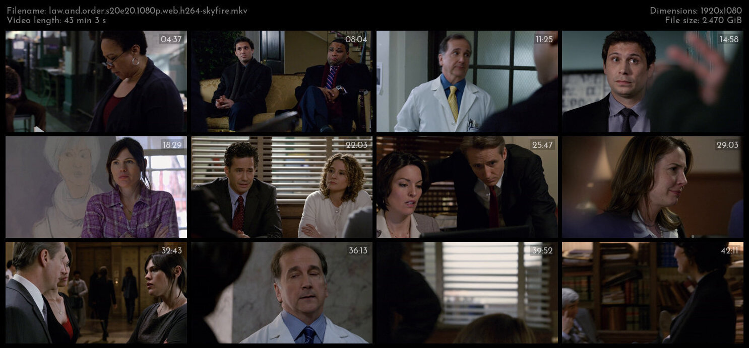 Law And Order S20E20 1080p WEB H264 SKYFiRE TGx