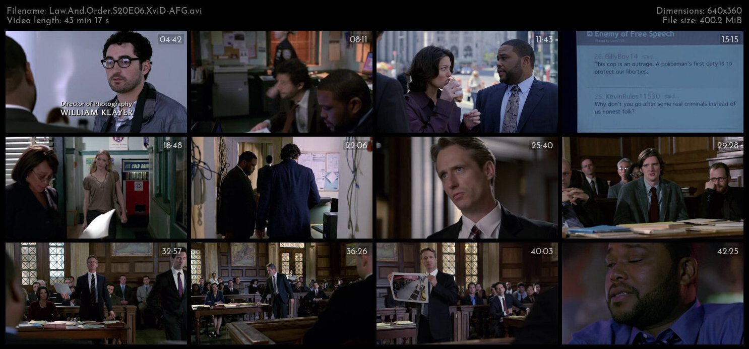 Law And Order S20E06 XviD AFG TGx