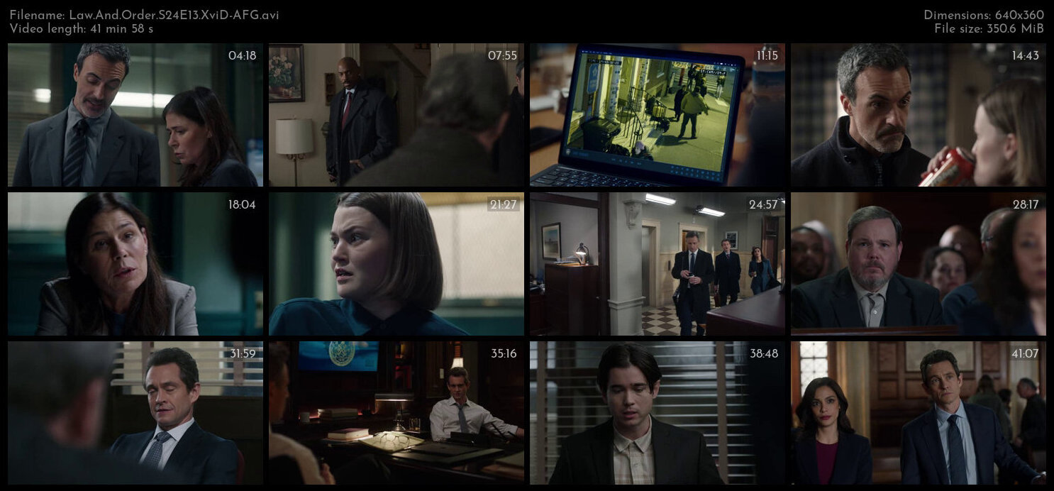 Law And Order S24E13 XviD AFG TGx