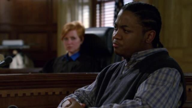 Law And Order S20E17 XviD AFG TGx