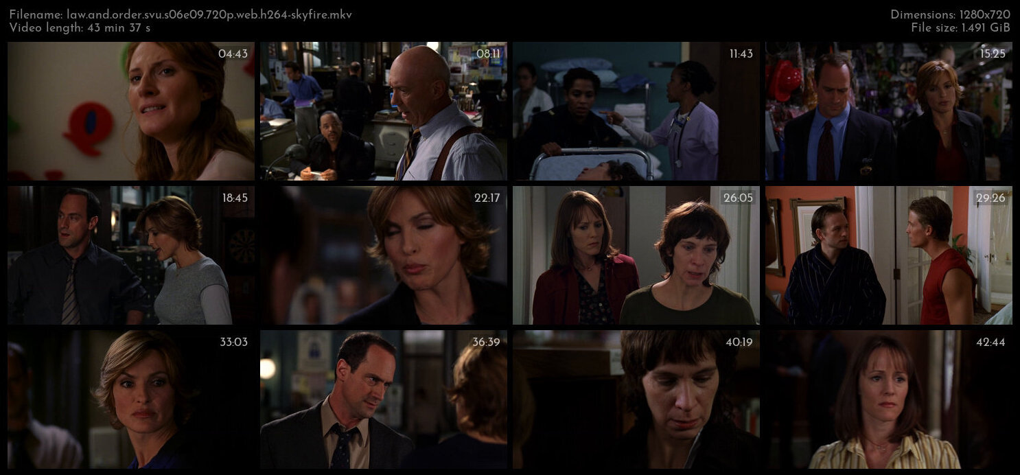 Law And Order SVU S06E09 720p WEB H264 SKYFiRE TGx