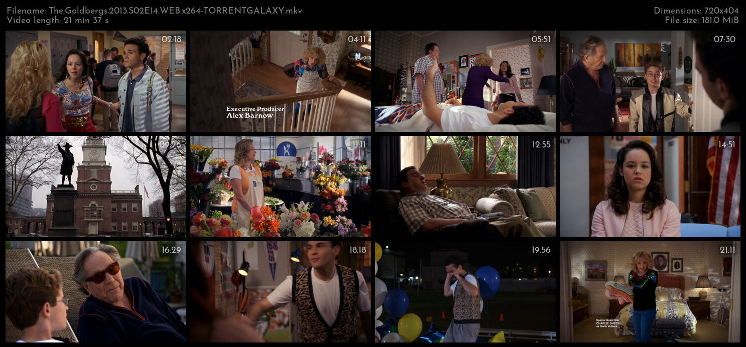 The Goldbergs 2013 S02E14 WEB x264 TORRENTGALAXY