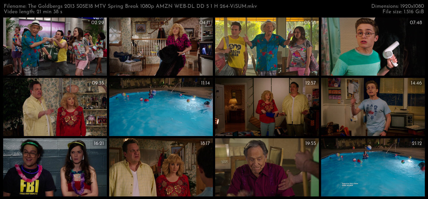 The Goldbergs 2013 S05E18 MTV Spring Break 1080p AMZN WEB DL DD 5 1 H 264 ViSUM TGx