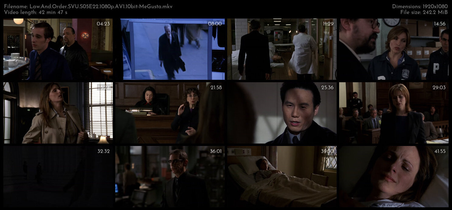 Law And Order SVU S05E22 1080p AV1 10bit MeGusta TGx