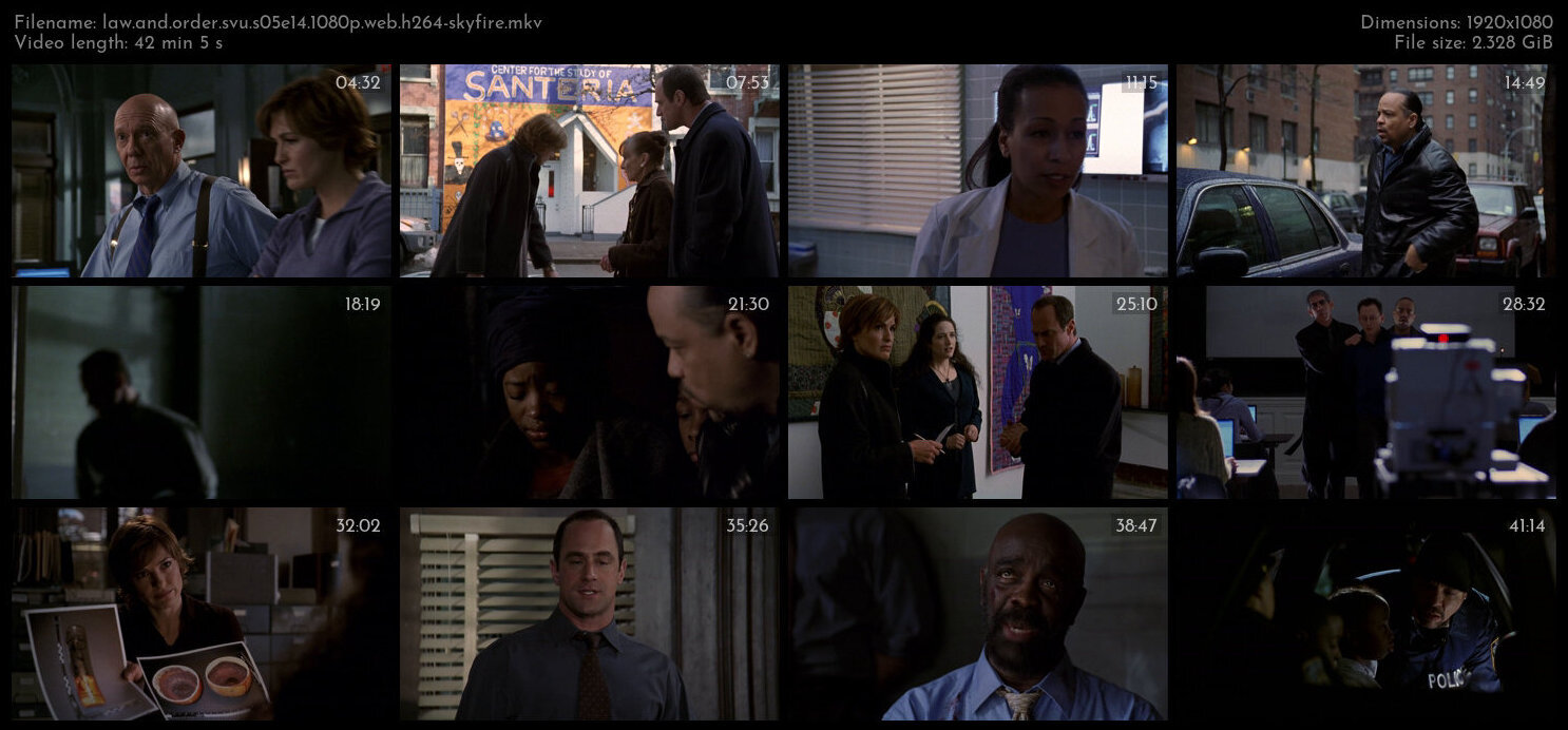 Law And Order SVU S05E14 1080p WEB H264 SKYFiRE TGx