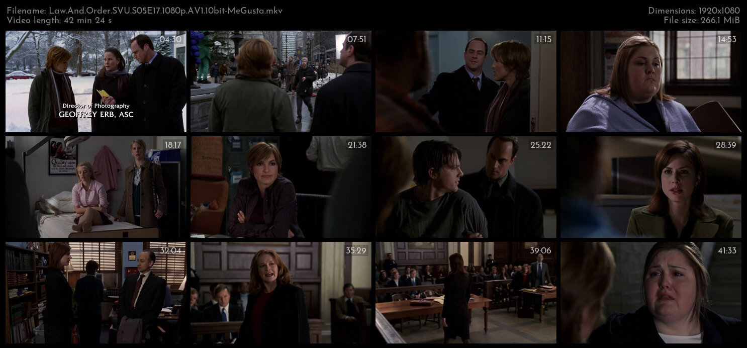 Law And Order SVU S05E17 1080p AV1 10bit MeGusta TGx